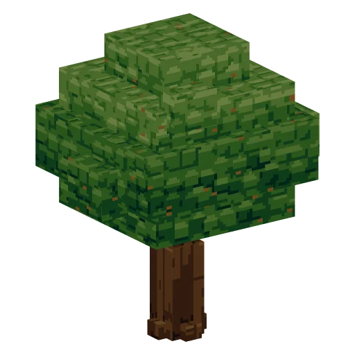 Oak tree
