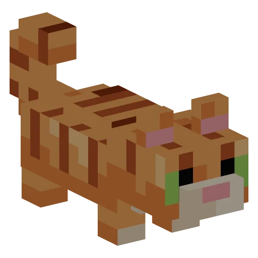 Orange tabby cat